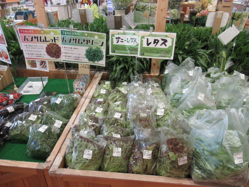 風土記の丘農産物直売所(甲府南インター隣) tweet media