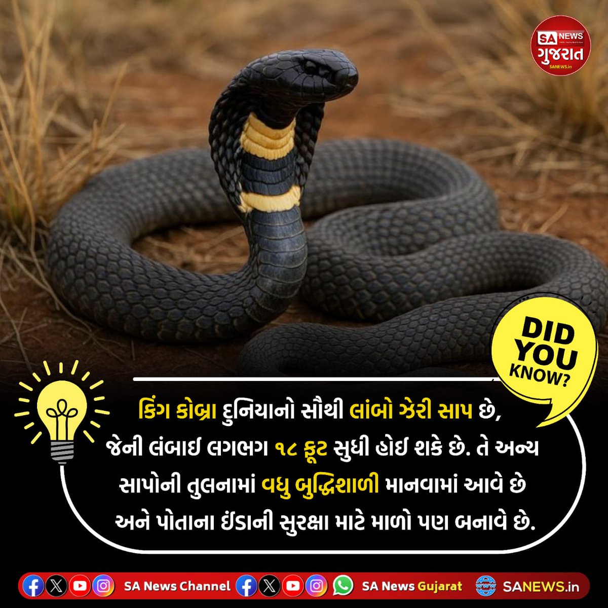 SANewsGujarat's tweet photo. શું તમે જાણો છો?
DID YOU KNOW!
#SANewsGujarat #SANews #Facts #GK #QUIZ #POLL #Generalscience #Factfull #viral #Viralfacts #TodayFacts #GeneralFacts https://t.co/3sTl3Ckmku