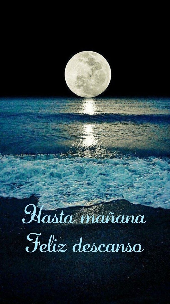Ansi♡ tweet media