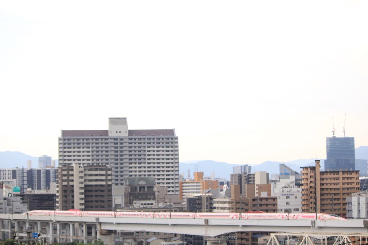 さざなみ tweet media