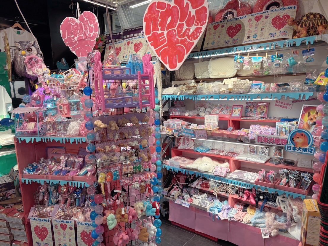 ヴィレッジヴァンガード渋谷本店/VILLAGE VANGUARD SHIBUYA tweet media