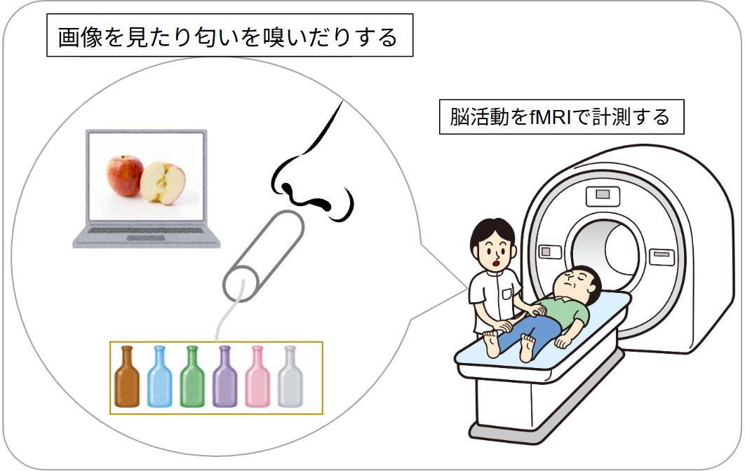 実験・調査等の参加情報 | 心理学・経済学・工学など tweet media