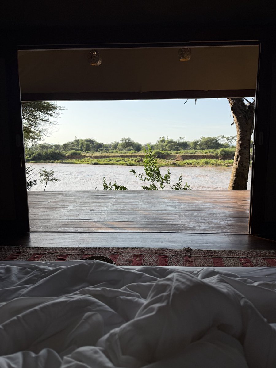 __ConciliaFO_'s tweet photo. A very very good morning from Samburu National Reserve and most importantly, a happy birthday to me. ✨♥️ https://t.co/qmVpOHi2I7
