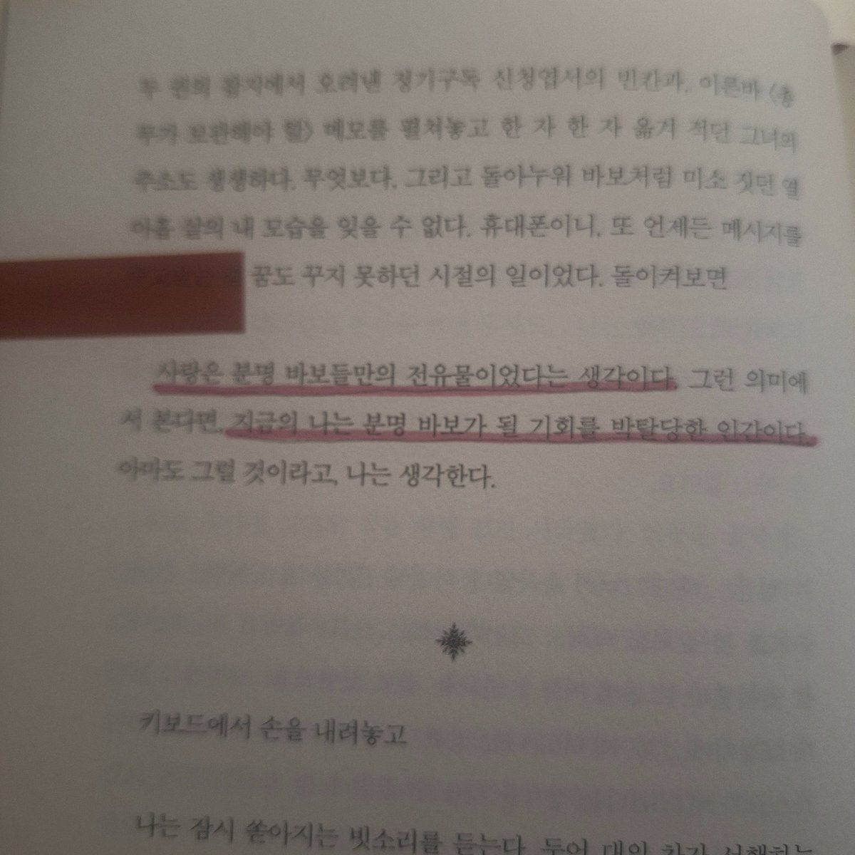 도치 tweet media