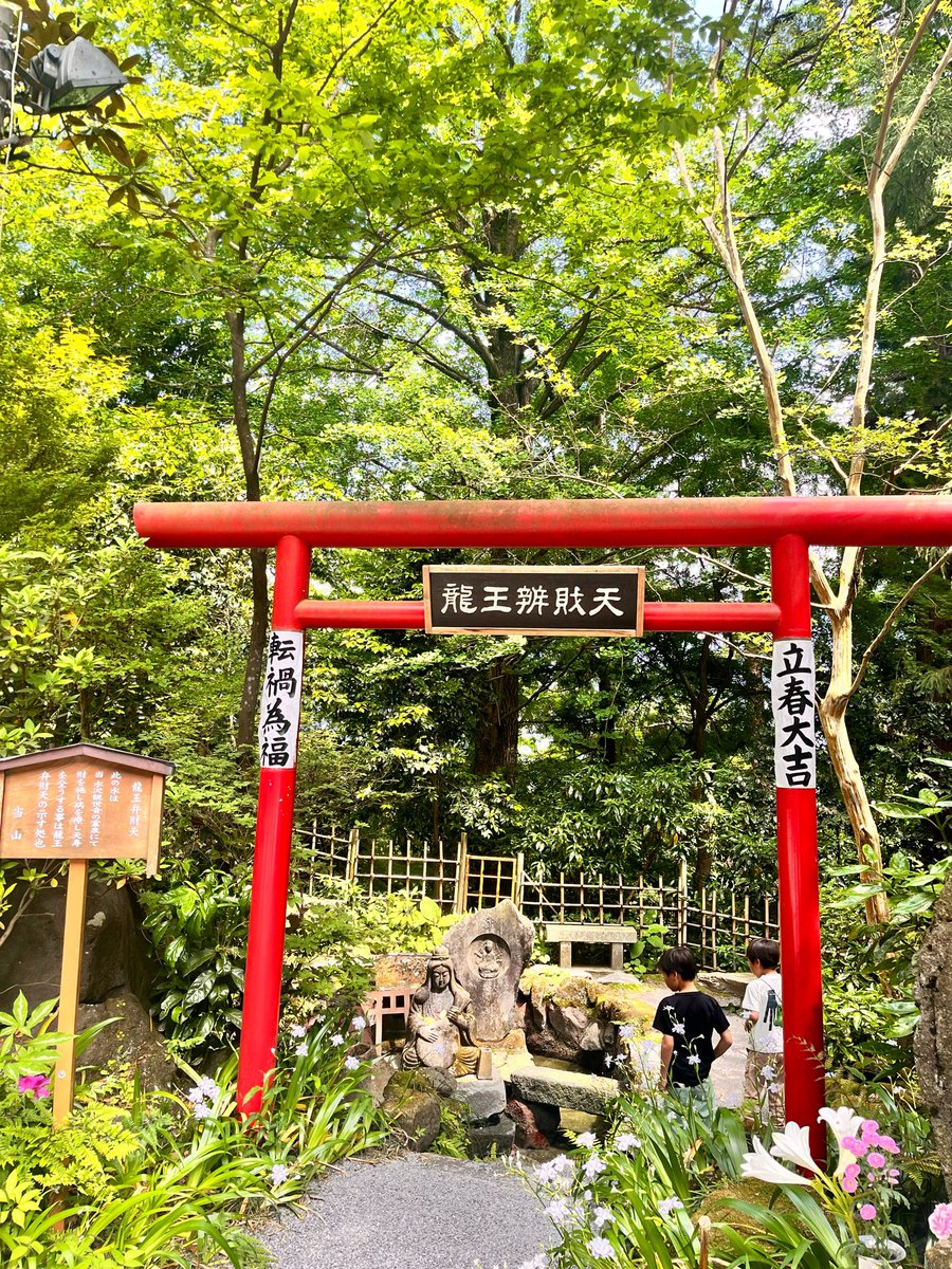 光の滴✨そわか⟡˖·🐉🕊️ tweet media