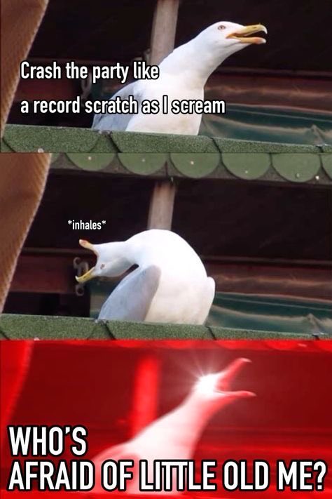 𝑀𝒾𝓈𝓈 𝒜𝓂𝑒𝓇𝒾𝒸𝒶𝓃𝒶 ❤️🔥 tweet media