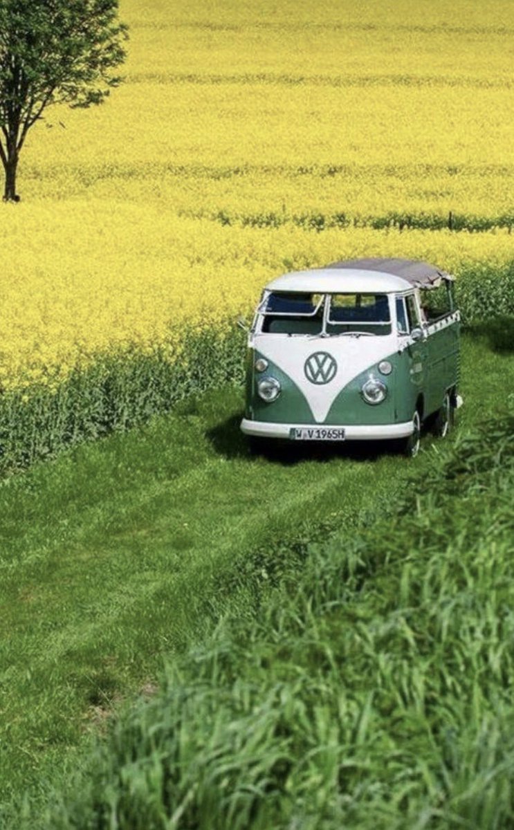 Volkswagen4ever's tweet photo. #vw #volkswagen #singlecab https://t.co/8cR9pl00XX