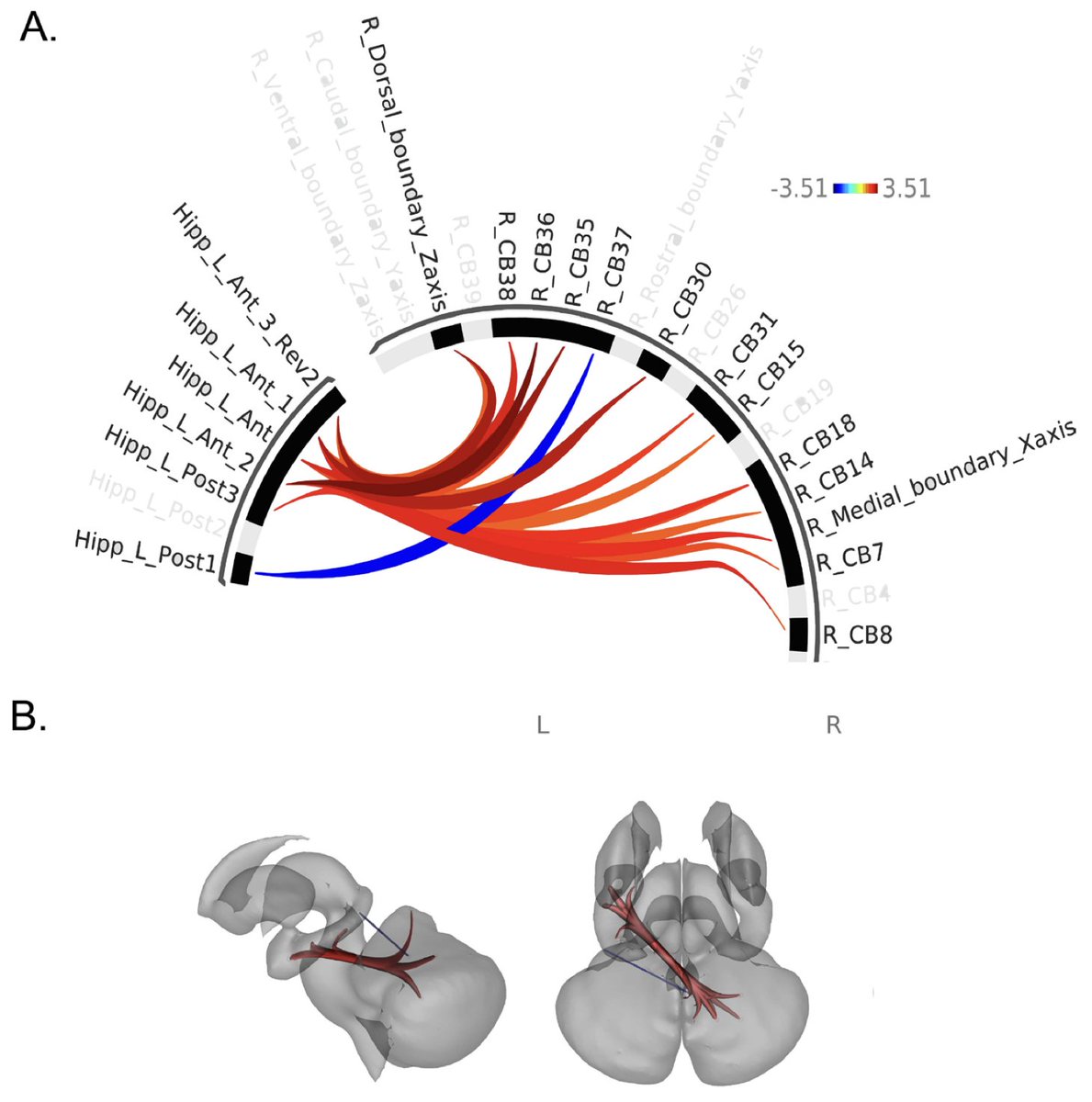 Imaging Neuroscience tweet media