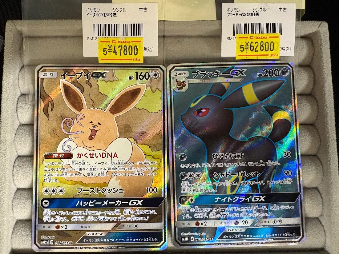 ポケカ #ポケモンカードゲーム 】 ショーケースに展開チュウ
