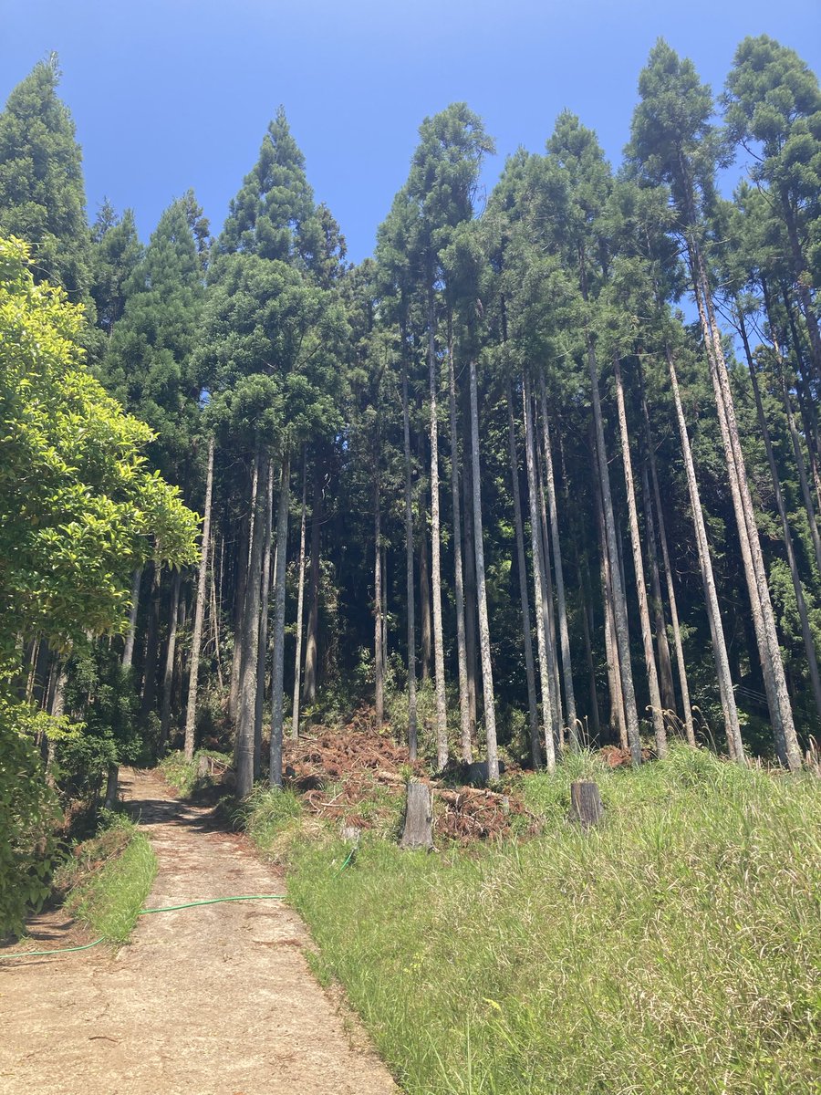 TakeruHK's tweet photo. 宇陀市菟田野入谷の丹生神社。こちらを式内社丹生神社に比定する説もあるらしい。祭神は罔象女尊。地名の入谷はもともと丹生谷と書かれていたとも。こちらの祭神ももとは丹生都姫だったのかな。 https://t.co/lhUDa7ETlD