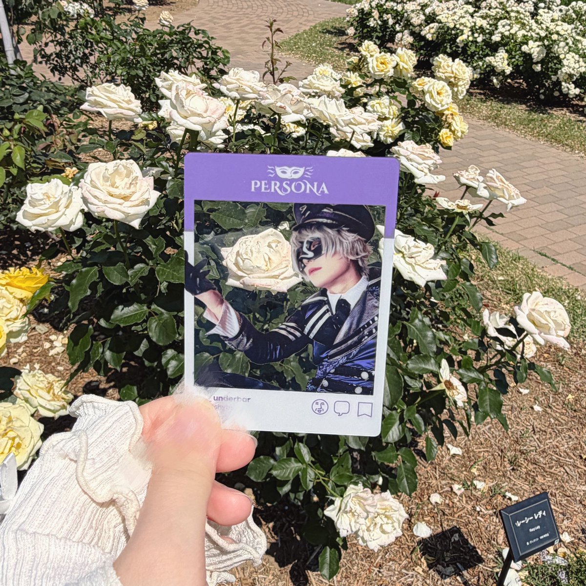 🐯_ub tweet media