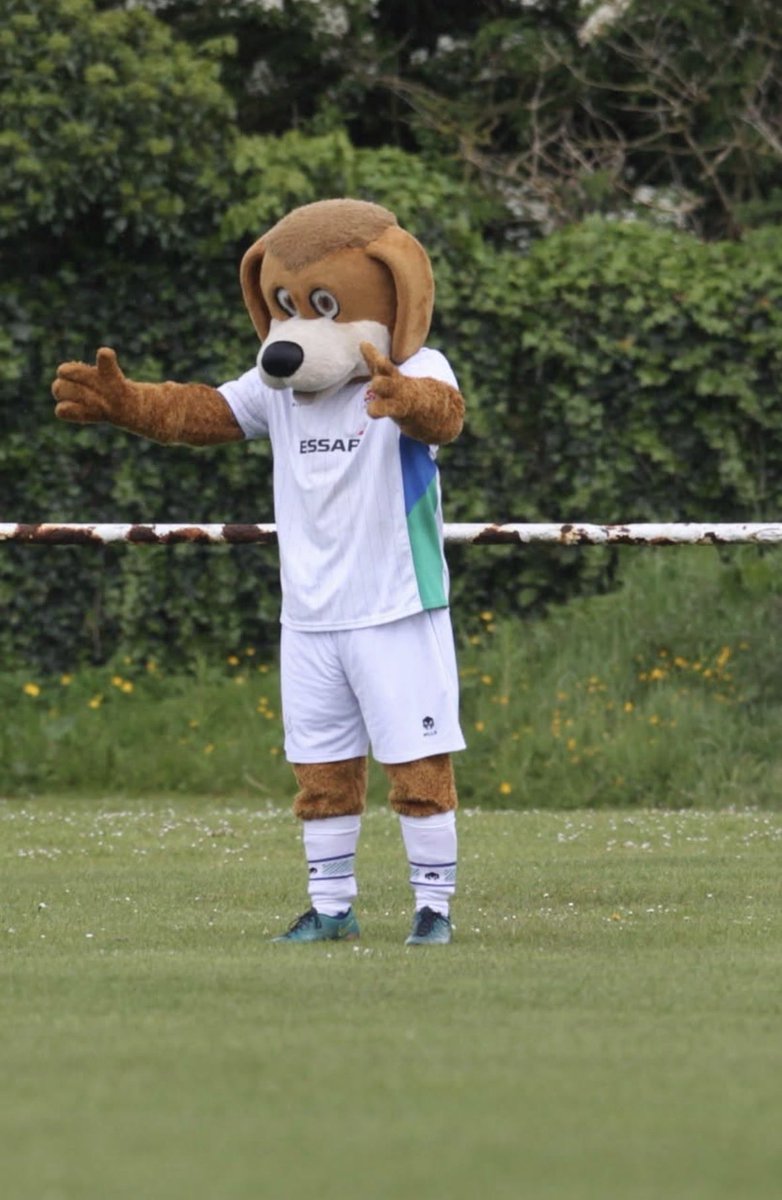 Rover the Dog | Tranmere Rovers Football Club tweet media