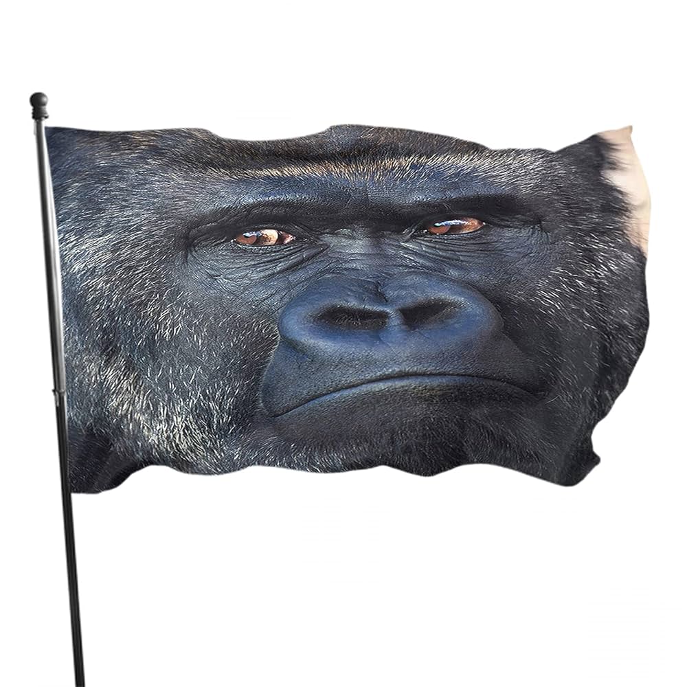 Koko the Gorilla tweet media