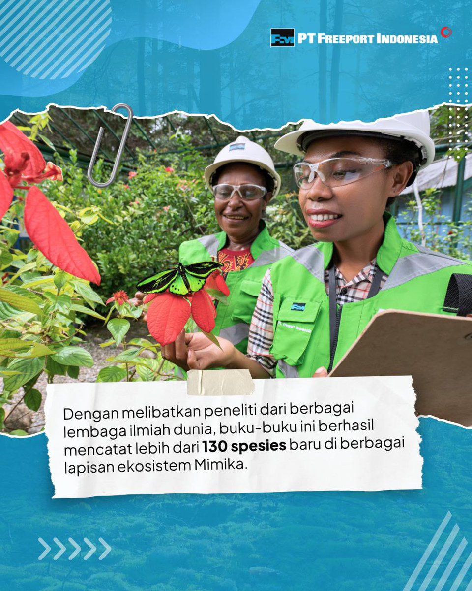 Freeport Indonesia tweet media