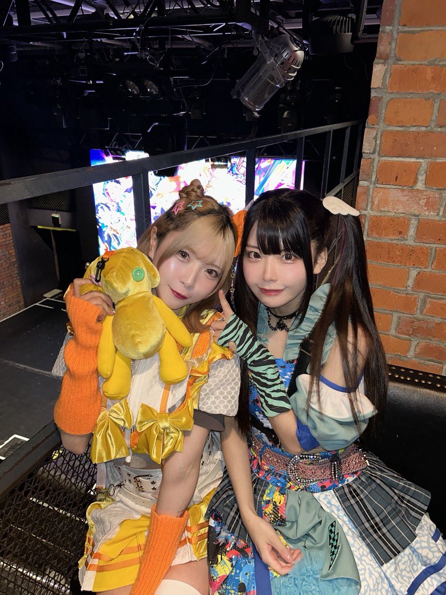 POCHI🐶💛🧡 tweet media
