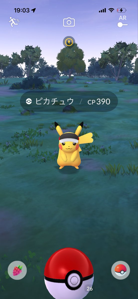 sima2sheep's tweet photo. 春の散歩終わったー！ポケゴ離れしてたけど結構42キロ歩くの燃えたから復帰勢🚶‍♀️✨達成感えぐい https://t.co/9F4Z7xOyRE