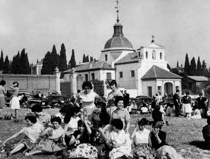El Sereno de Madrid - Sonia Taravilla tweet media