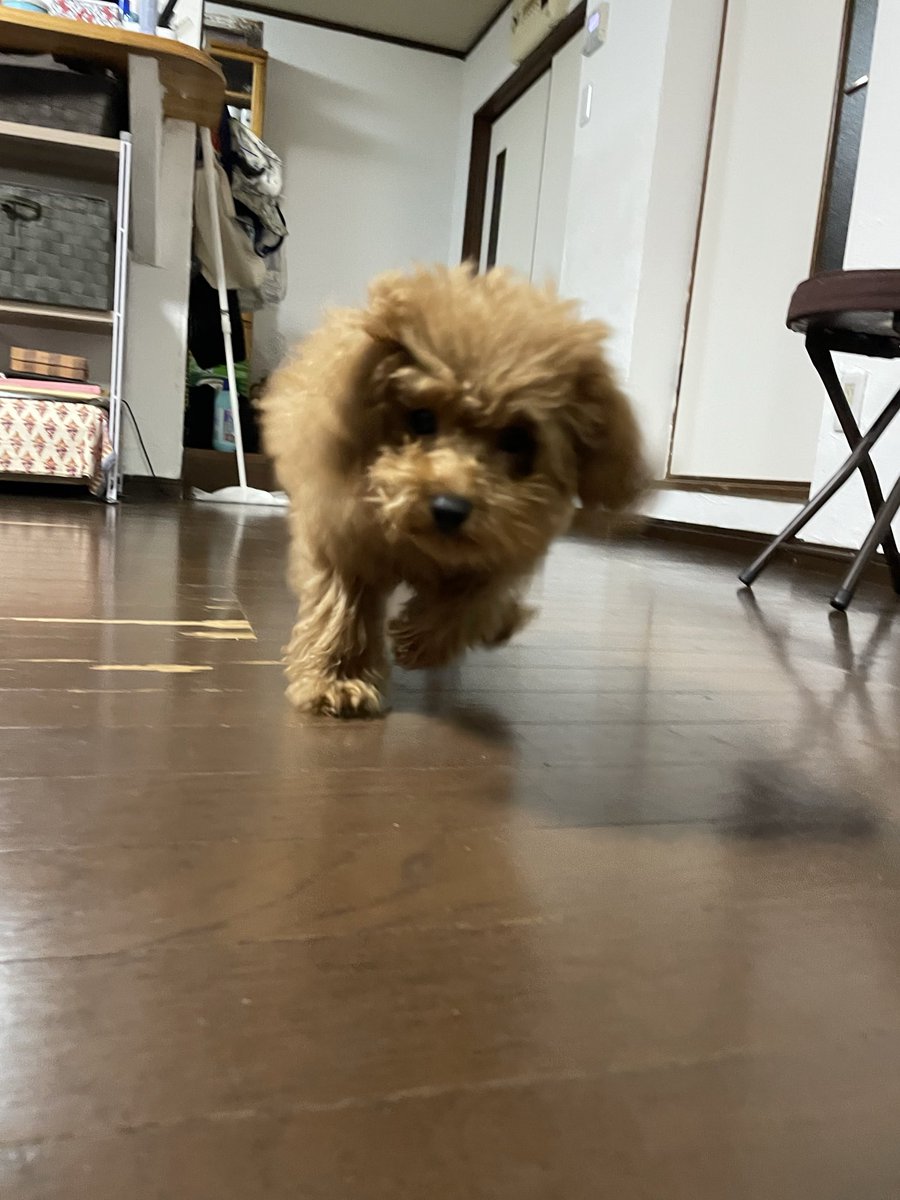 パト🌱☘️🍀🌷 tweet media