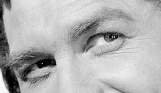Bufo Calvin tweet media