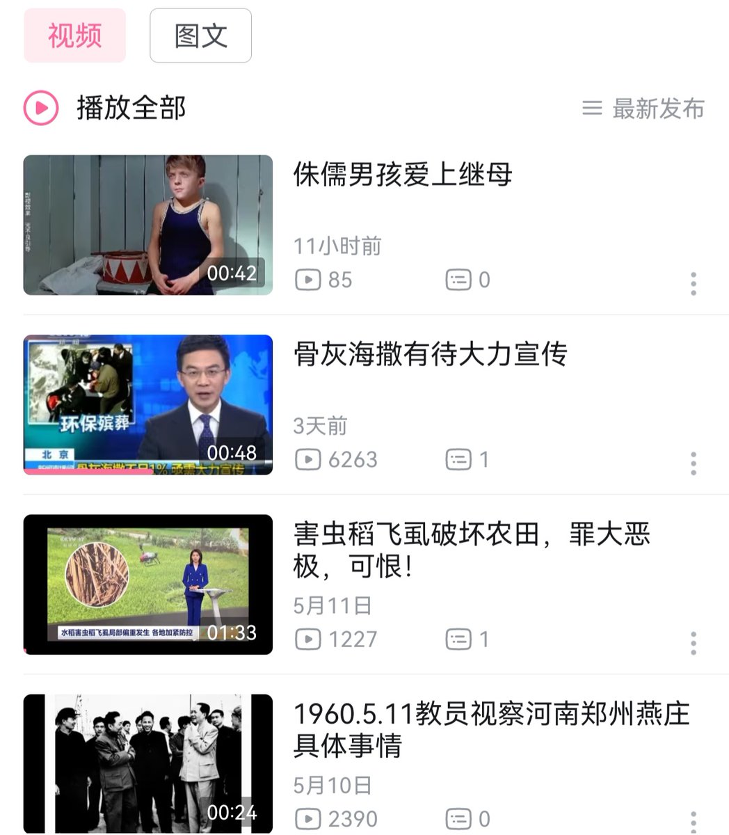 贝利撒留 tweet media