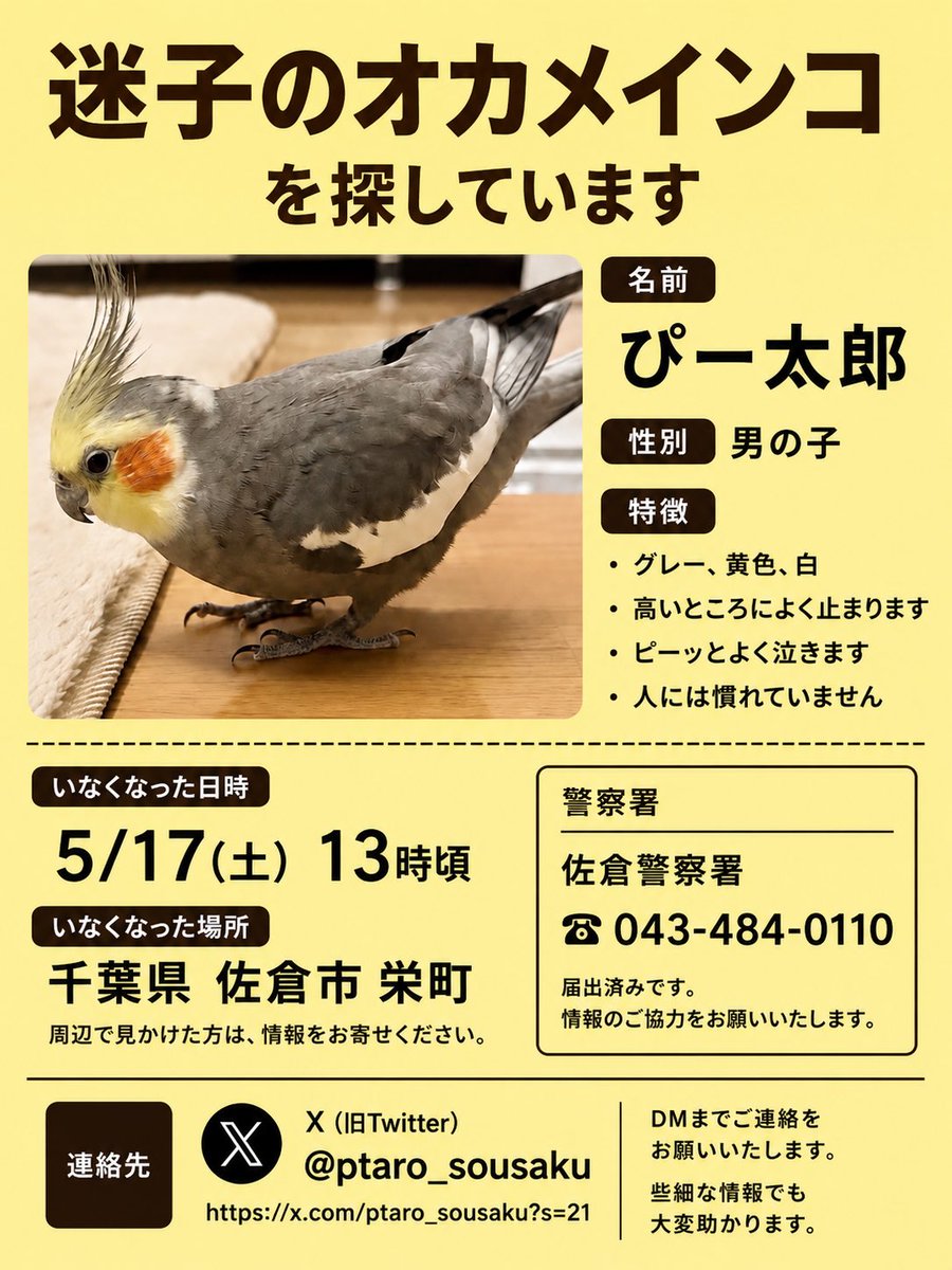 P tweet media