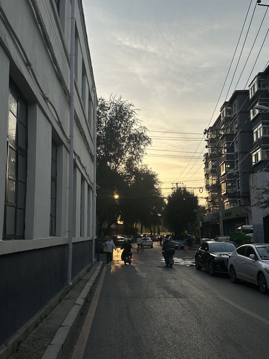 Петрова Дарья tweet media