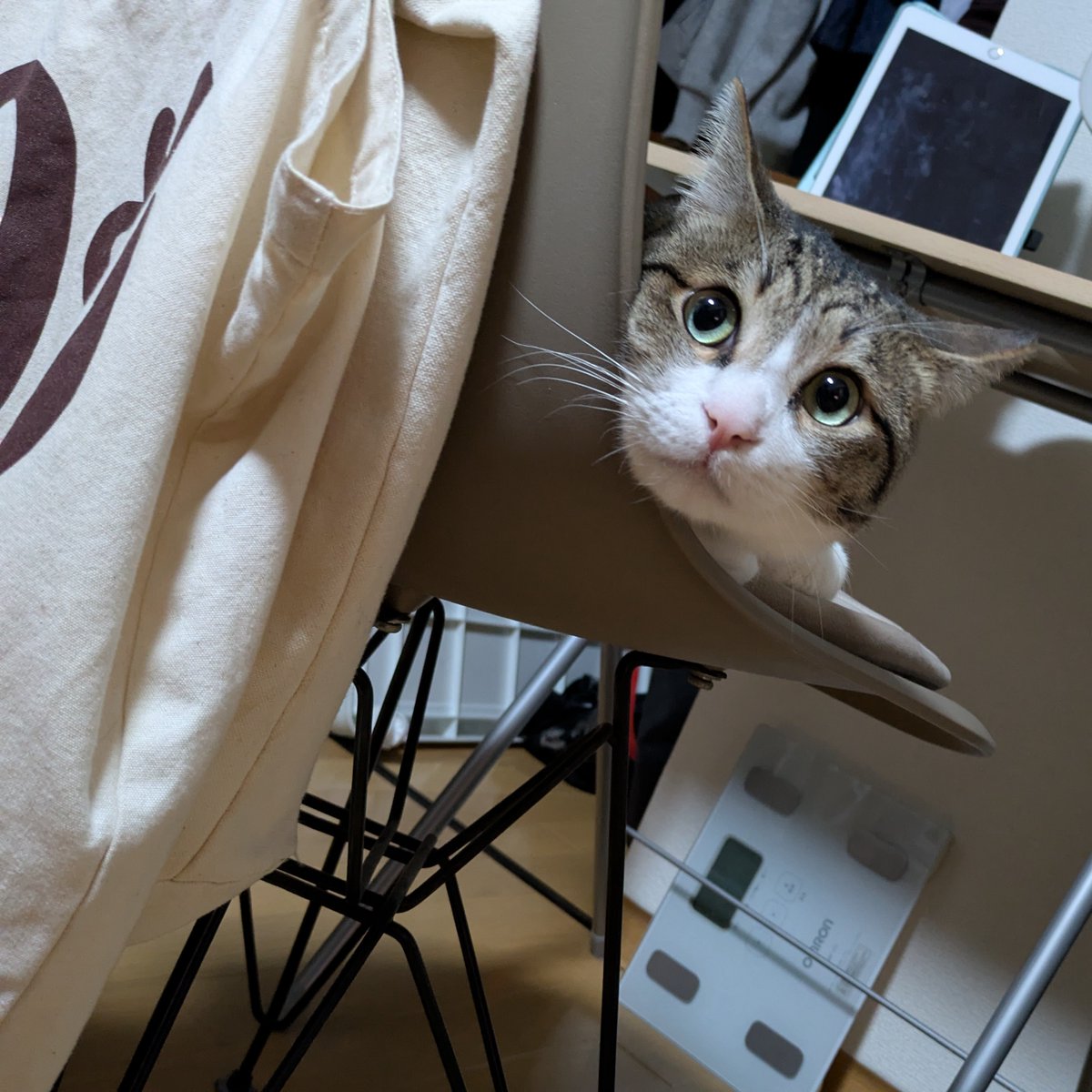 すなお tweet media