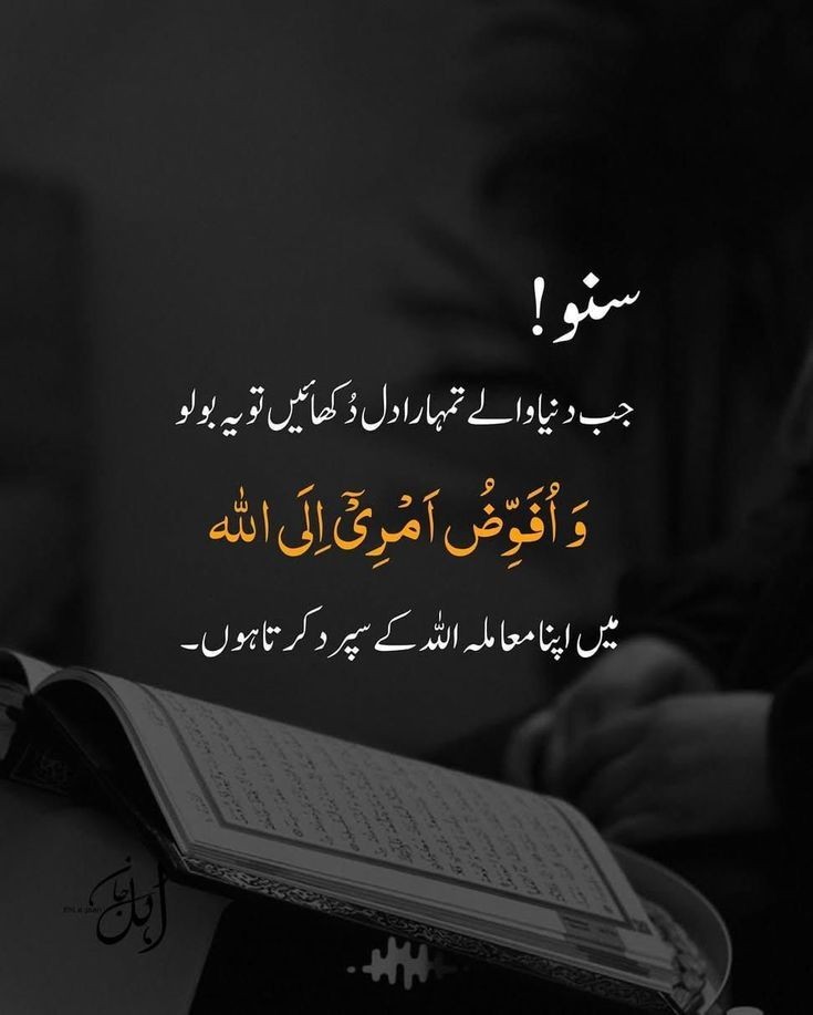 Shahina Tahir tweet media