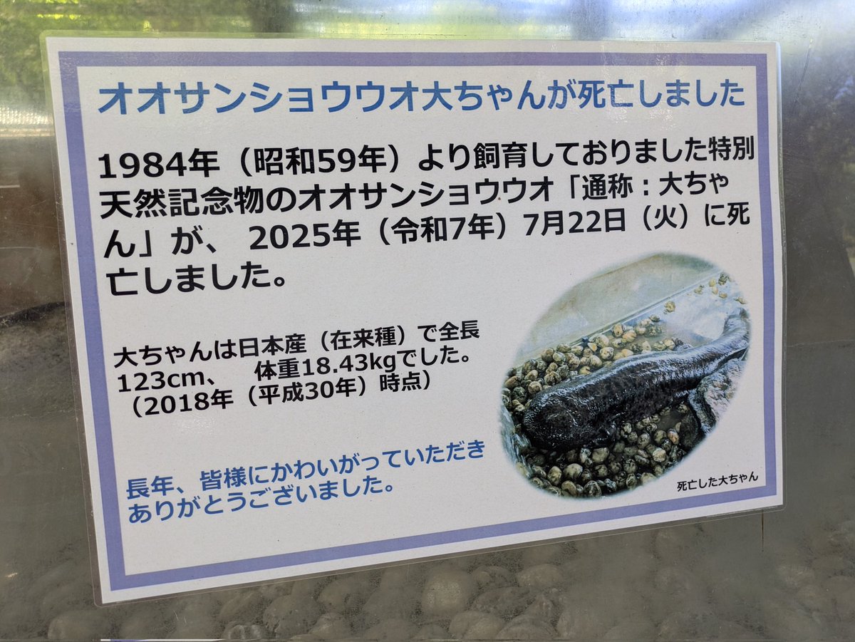 真木自動車グループ【公式】 tweet media