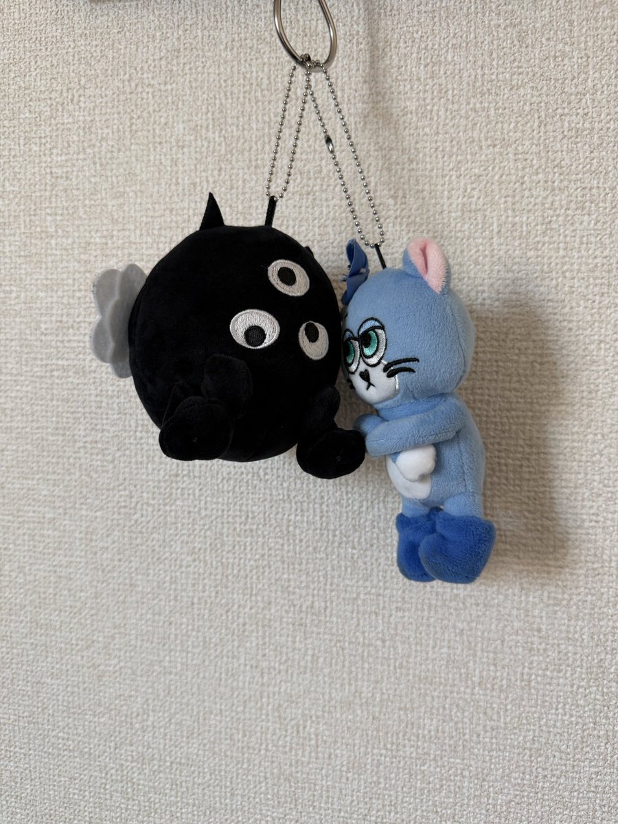 アライのすべて・D tweet media