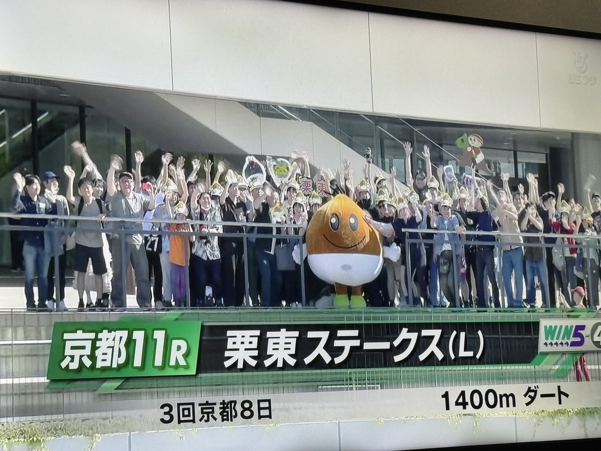 風 tweet media