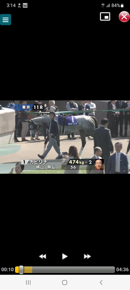 ヴィクトリアマイル ◎ココナッツブラウン🐎👀✍️🔥🦒✨