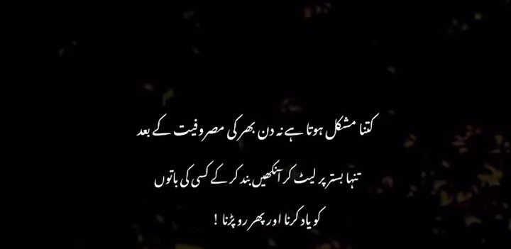 Shahzeb Khan tweet media