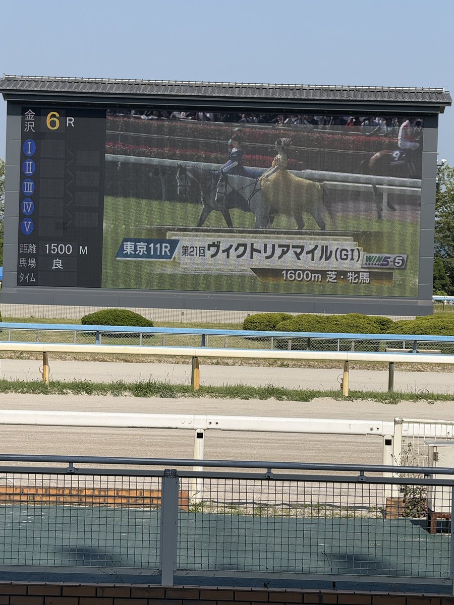 みんなで大画面で見る競馬も悪くないぞ