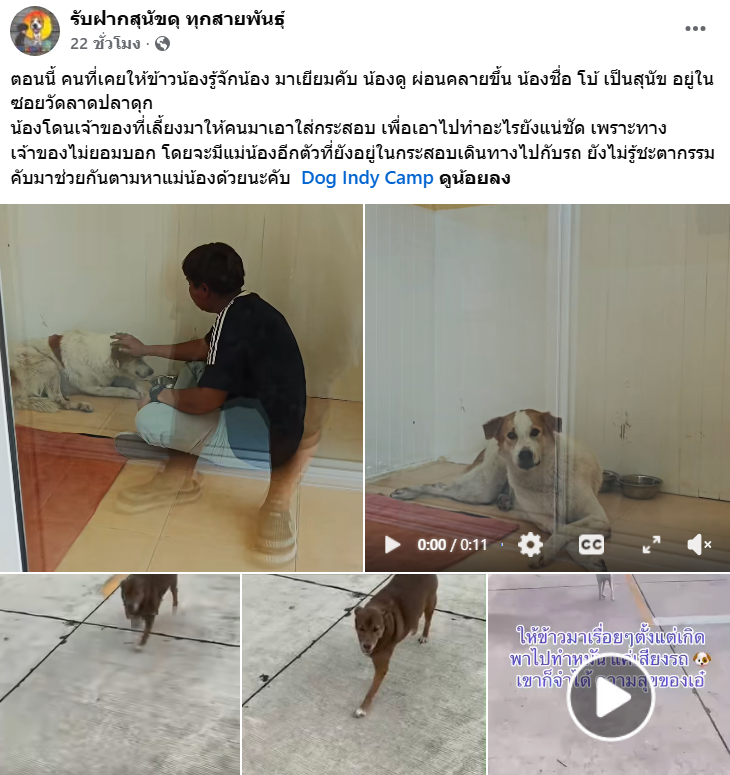 🎀🐰🌹🐻🐸🐶🐈‍⬛🐬 tweet media