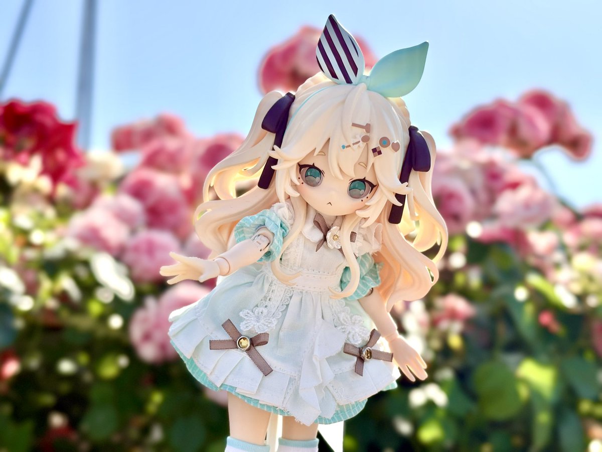 🌹こたつ🌹あのあ🌹 tweet media