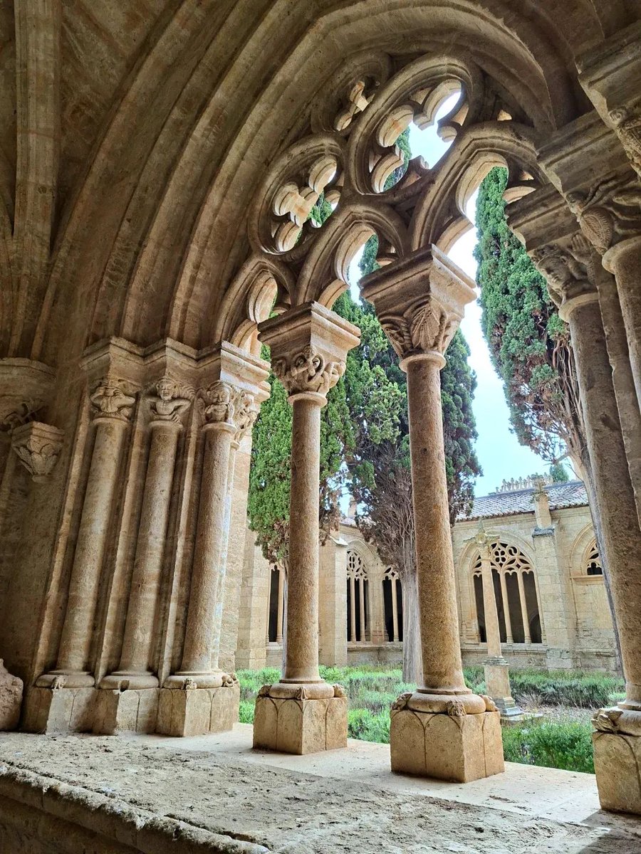 AGOTCIR. Visitas guiadas en Ciudad Rodrigo tweet media