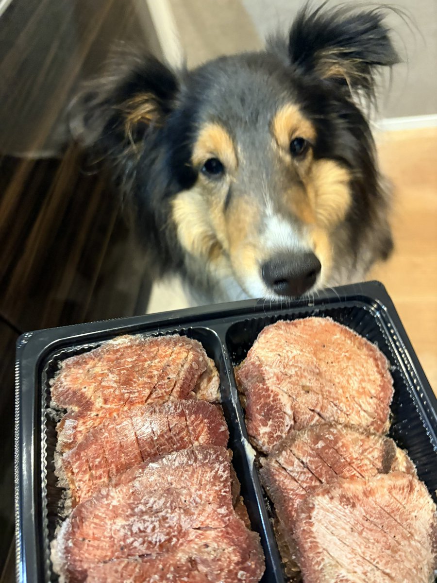 犬乃もふ🐶💭 tweet media