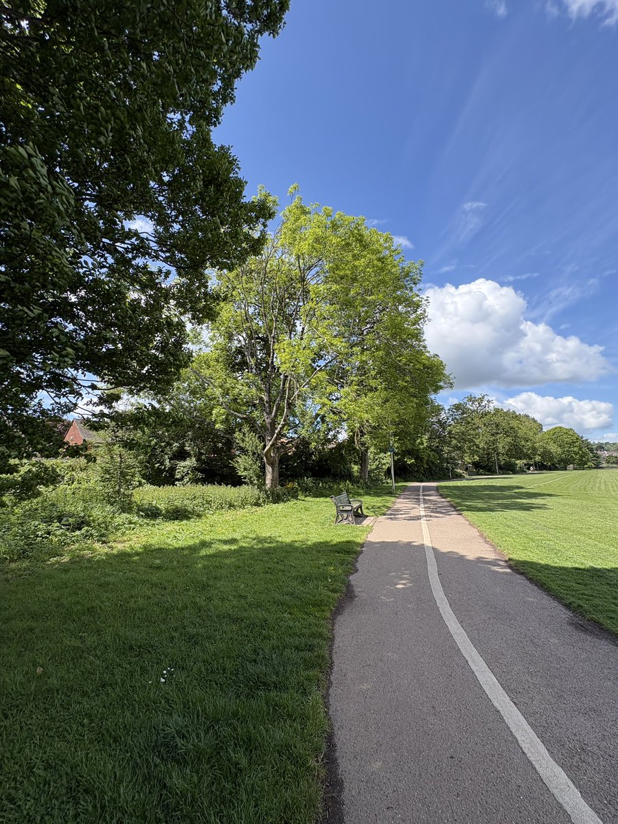 Exeter Trees tweet media
