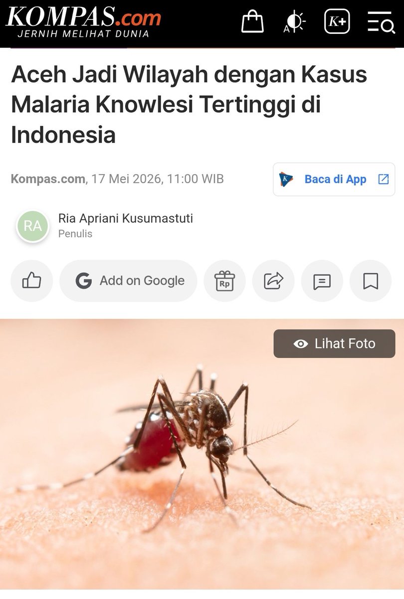 MinDos tweet media