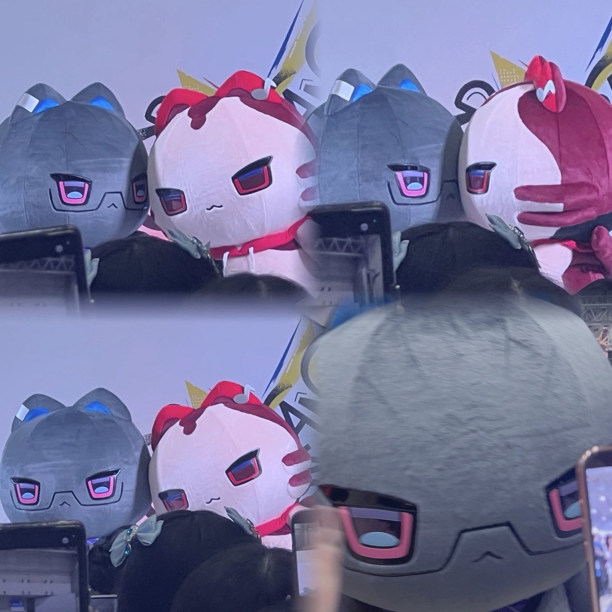 めろんぱん。 tweet media