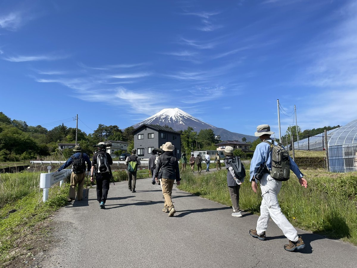 JunkieOsada's tweet photo. 本日の探鳥会は富士山麓支部との合同実施という事で、早朝から富士吉田の農村公園へ。富士山が間近に見られる爽やかな空の下での探鳥を楽しみました。同じ県内でも、普段と違う環境での探鳥会は新鮮に感じられます。 https://t.co/730jj1UdVd