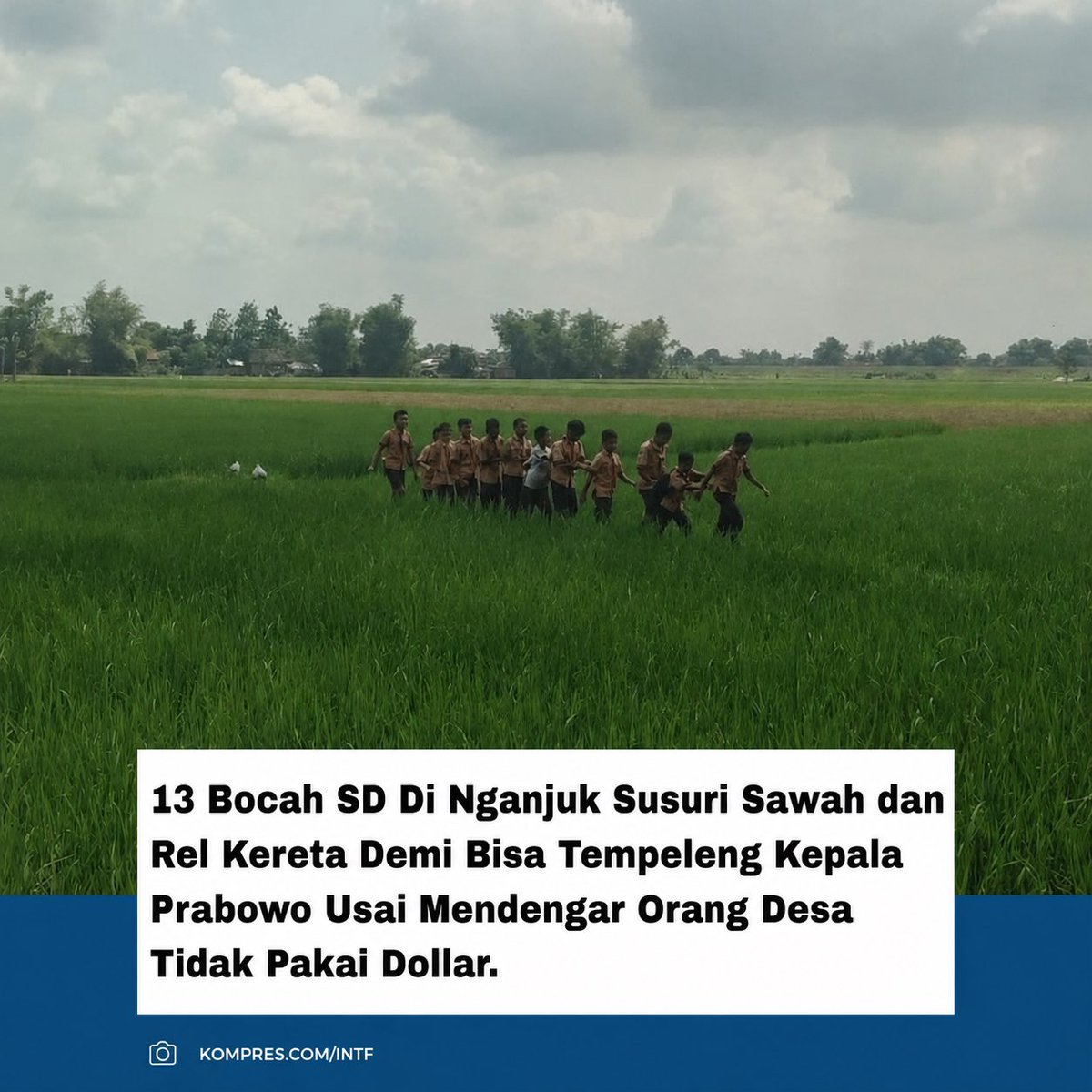 Kompres.com tweet media