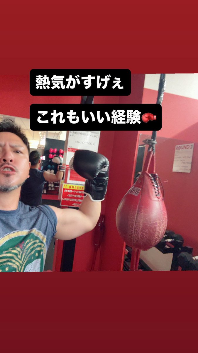 ギンジ イソフラボン𓆉 tweet media