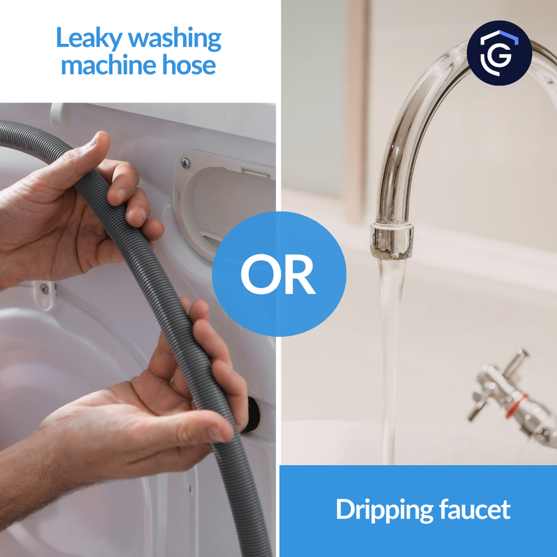 GuardHomeWarr's tweet photo. 👕 A leaky washing machine hose or a dripping faucet — which would you fix first?

Both might seem minor at first, but they can waste water and lead to bigger repair issues if left unattended.

💬 Which one would you tackle right away? https://t.co/6J2PWJ36Ma