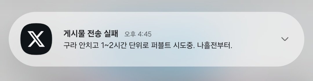 임시 영소 tweet media