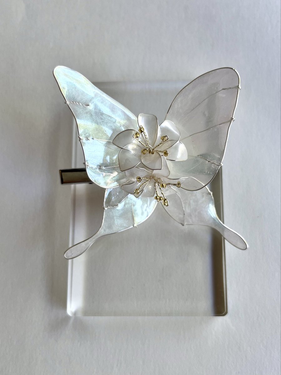 mio papillon@デザフェス63南館4階R－414 tweet media