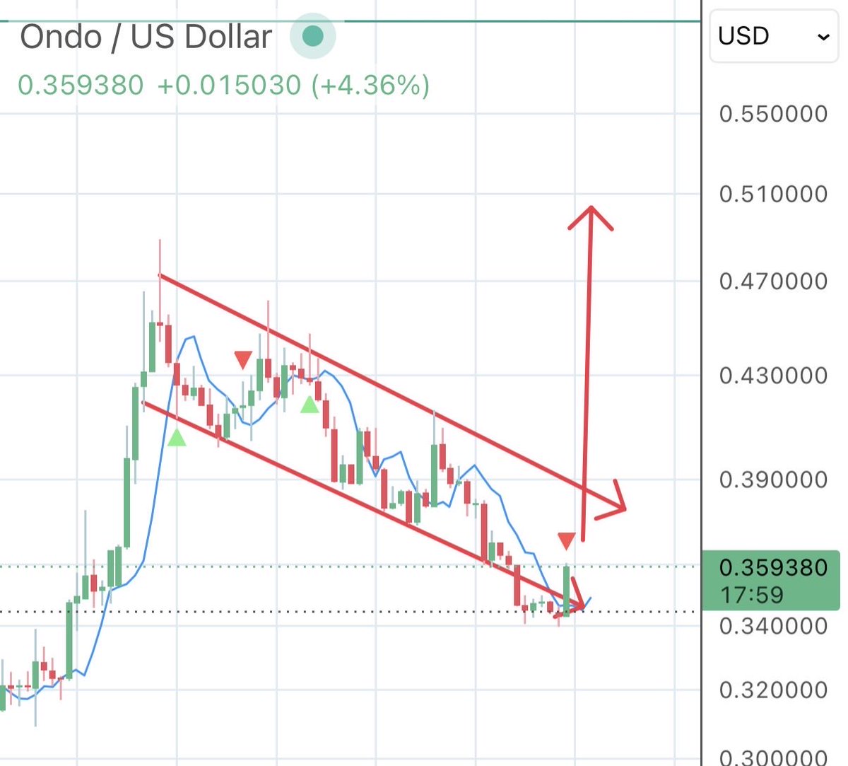 wildly bullish tweet media
