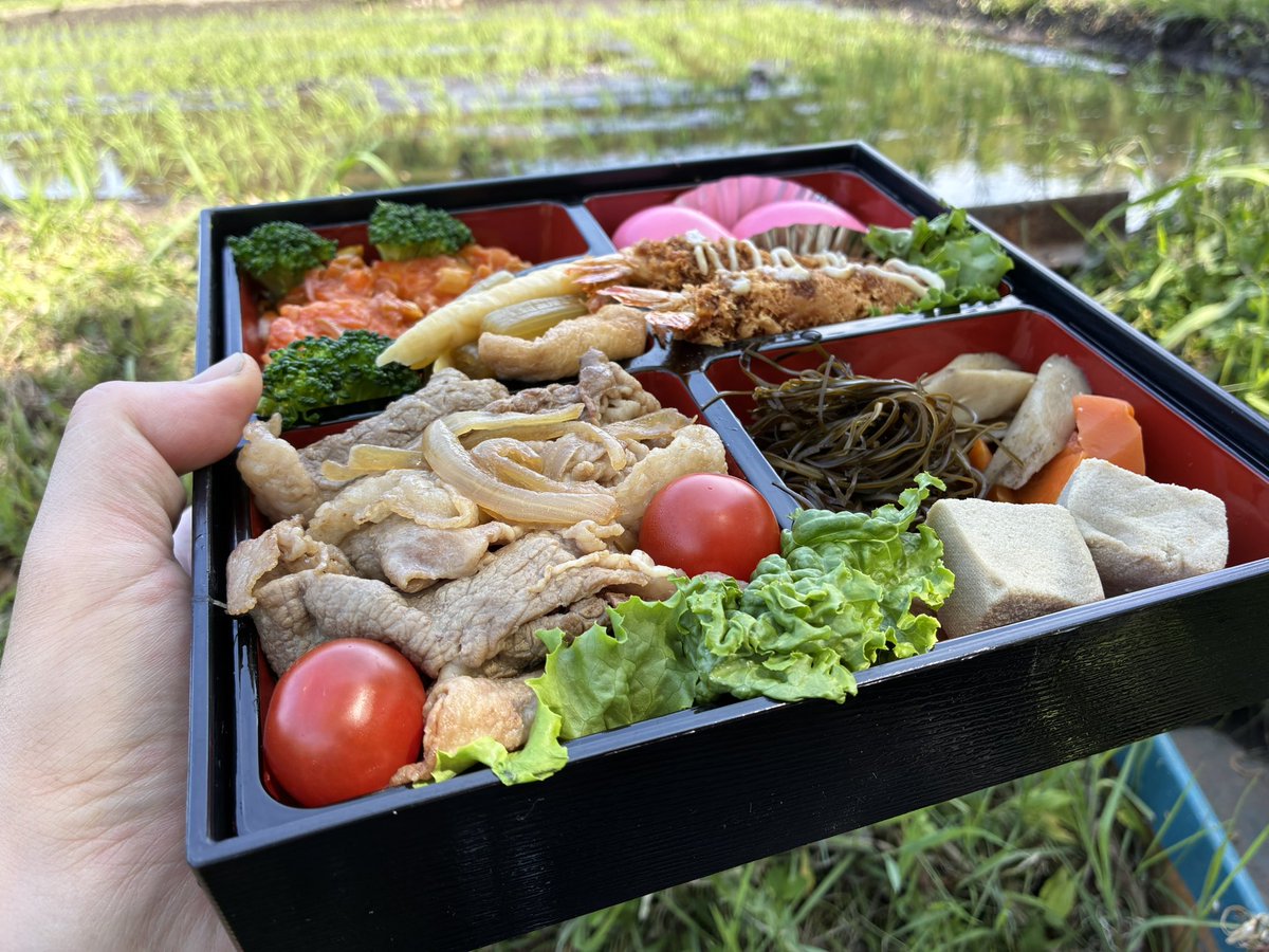 石川典行 tweet media