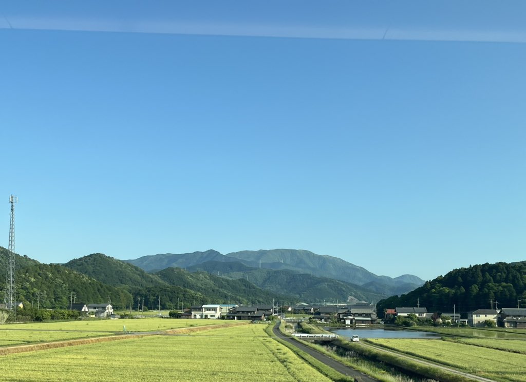 山根悟@矯正の人／背骨見続け40年 tweet media